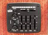 B-Band A6T Preamp & UST/AST-Pickups