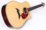Kraftvolles und dennoch differenziertes Klangbild: Breedlove D25/SRe