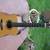 Lakewood D-32 m. Sonic-Basic-System Lakewood D-32 m. Sonic-Basic-System