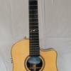 Seagull Artist Peppino Signature CW QII