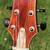 Hsienmo Shiyi Spruce Doubletop Mondfichte + Ziricote vollmassiv Pickup