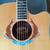 Takamine Limited Edition 2002