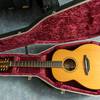 Mcilroy A10 12-String