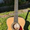 SIGMA Akustikgitarre SOM-50 50th Anniversary Limited ungespielt