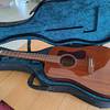 Guild D-120 vollmassiv Mahagoni, Softcase und 2-Wege Pickupsystem