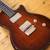 Taylor SolidBody Standard