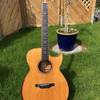 Stevens OMC Custom KOA