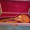 Höfner Vintage E-Mandoline 545 E