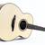 Kleinanzeige: Mcilroy A66 Gitarre (Tausch McNally)