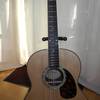 Larrivee L09e mit Anthem-PU
