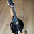 Kleinanzeige: Gibson-Mandoline A1