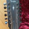 Taylor 12 String 362ce