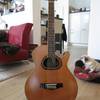 Ibanez Ragtime 12saitig