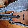 Furch D 23-CR-9 (9-saitig) - L.R.Baggs EAS-VTC und Koffer