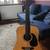 Kleinanzeige: Martin D16 gt, Fishman