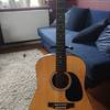 Martin D16 gt, Fishman