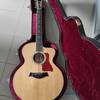Taylor 655ce 12 Saiten u Koffer