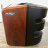 LR Baggs Synapse