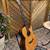 Stevens OMC Ziricote Custom