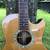Kallenbach CSJ 220 12 Fret