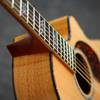 Larrivee LV-10 * Deluxe Serie * near mint * Koffer