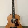 Taylor 12-string 858 e