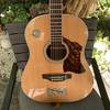 Takamine CRN-TS 1