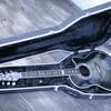 Ovation Collector´s Series Model 1983-B Bj. 1983 U.S.A.