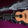 Lowden F25 * mint (2023) * Ameritage Case