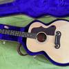 Gibson J-100 xt Mahagoni 1995