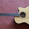 CORT GOLD Edge Natural Bestzustand