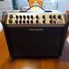 FISHMAN Loudbox