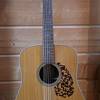 Blueridge BR-160 vollmassiv mit Koffer