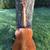 Halabica rs honduran mahogany