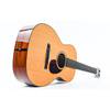 Collings 001