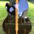 Kallenbach CSJ 220 12 Fret