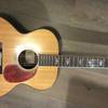 Larrivee J-25 Rosewood