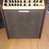 Fishman Loudbox Performer