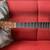 Martin 000-28 EC -Sunburst- Eric Clapton-Modell