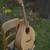 Kleinanzeige: Heiner Dreizehnter Waldzither